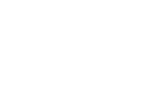 IRIS Connect Logo in white - landscape