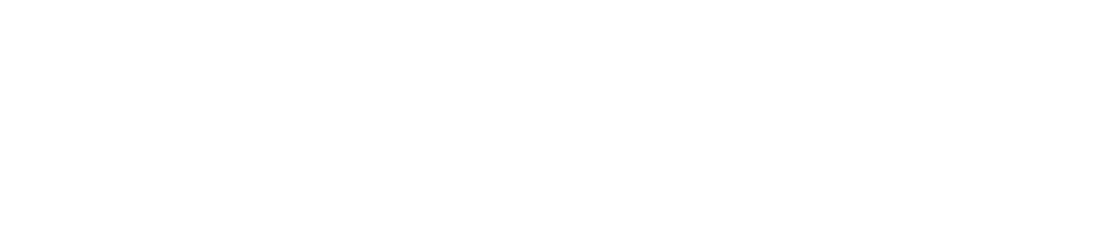 IRIS Connect Logo Landscape White