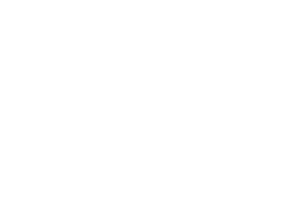 IRIS Connect Logo White